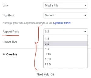 elementor image gallery aspect ratio default options