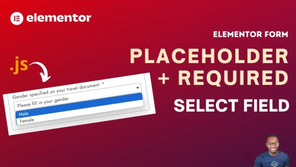 Add Placeholder to required select field in Elementor form